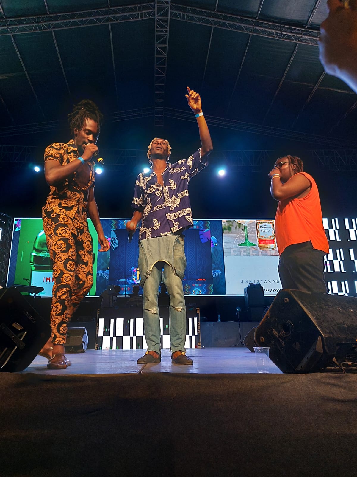 Photos from the Rema Concert at Carnivore