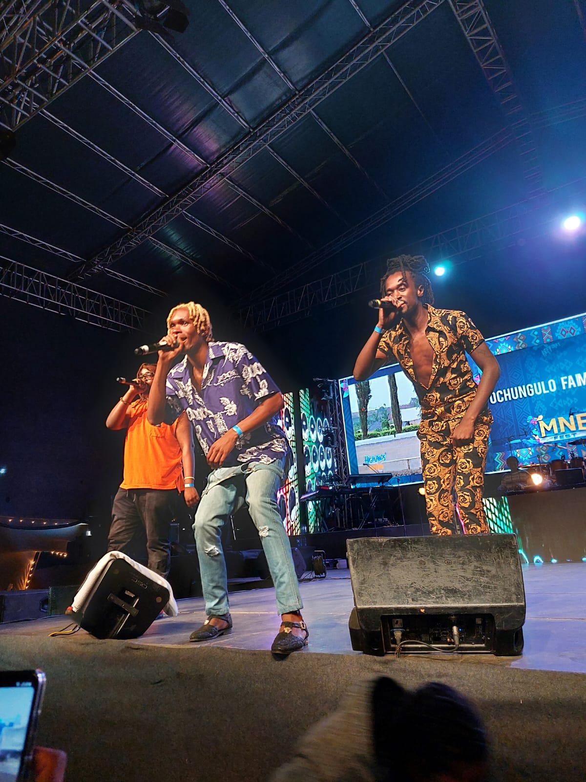 Photos from the Rema Concert at Carnivore