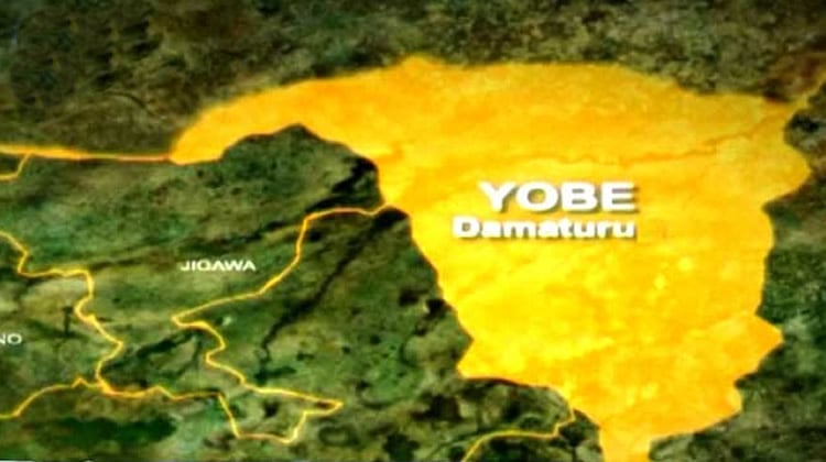 Police arrest man over defilement of minor in Yobe